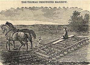 Thomas Smoothing Harrow cultivator for young crops